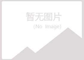 深圳南山冰夏能源有限公司